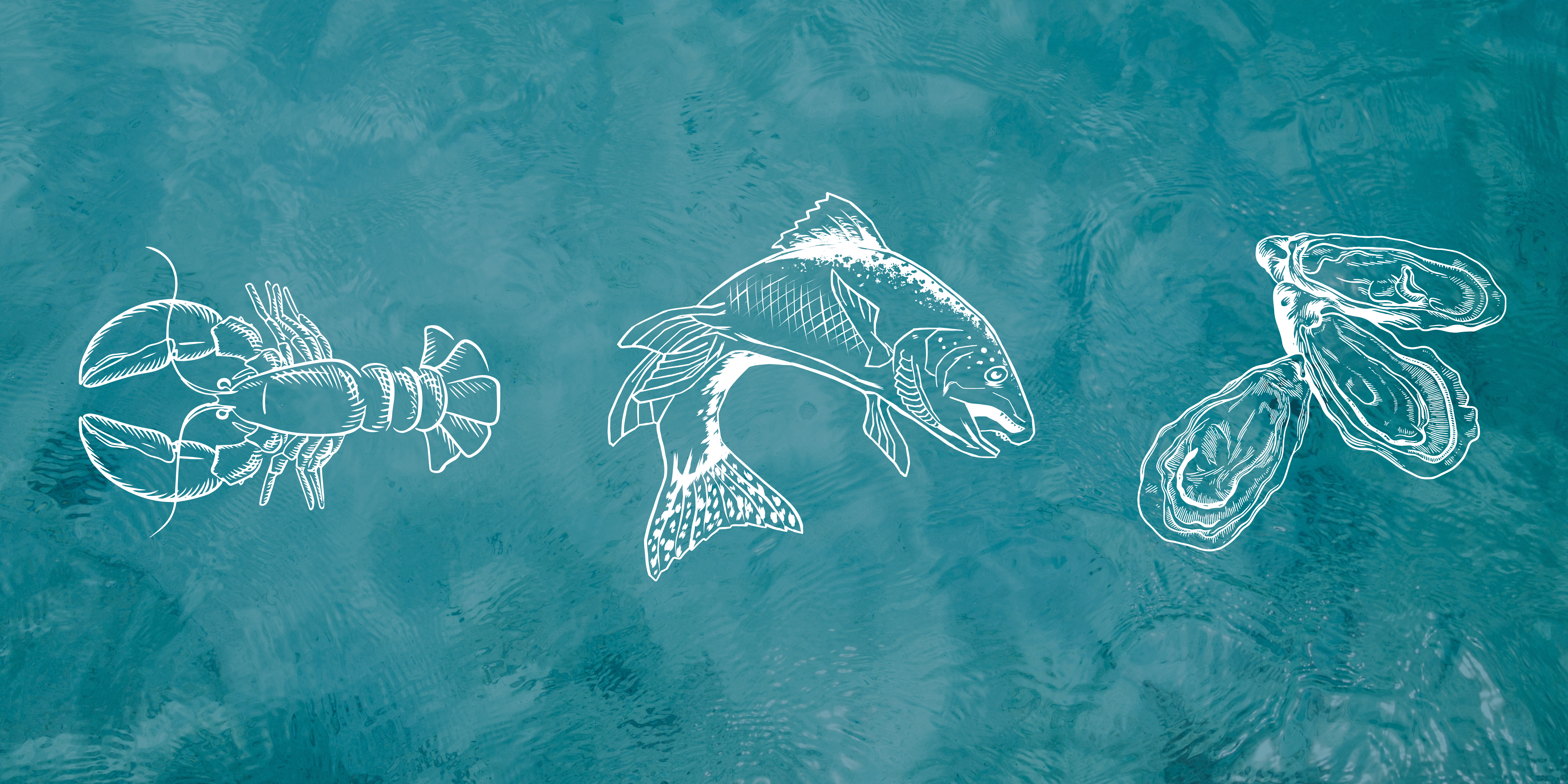 Ocean to Table – A Six Course Seafood Celebration